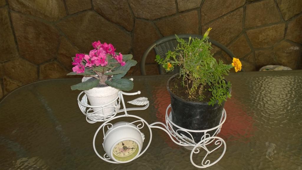 Bed & Breakfast Blumen Haus 2* Santiago