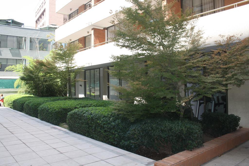 Apartment Providencia Diego De Velasquez Santiago