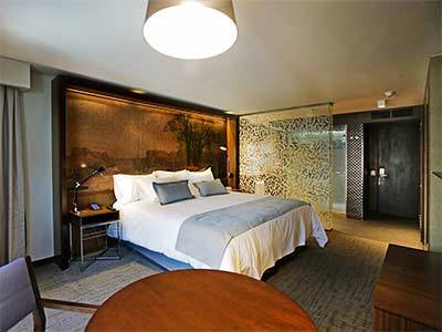 Hotel Cumbres Lastarria 5*