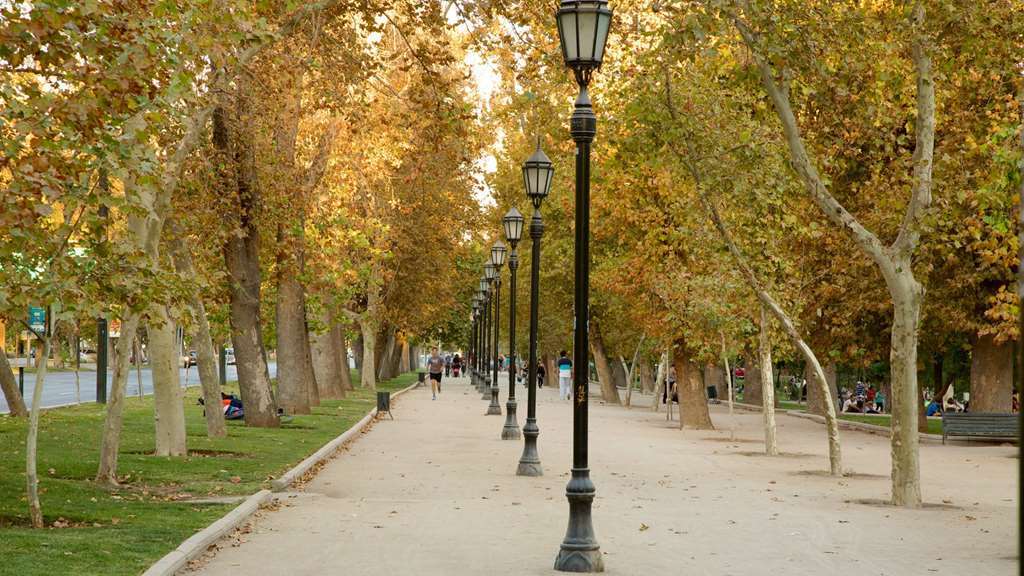 Park For Rent 5* Santiago