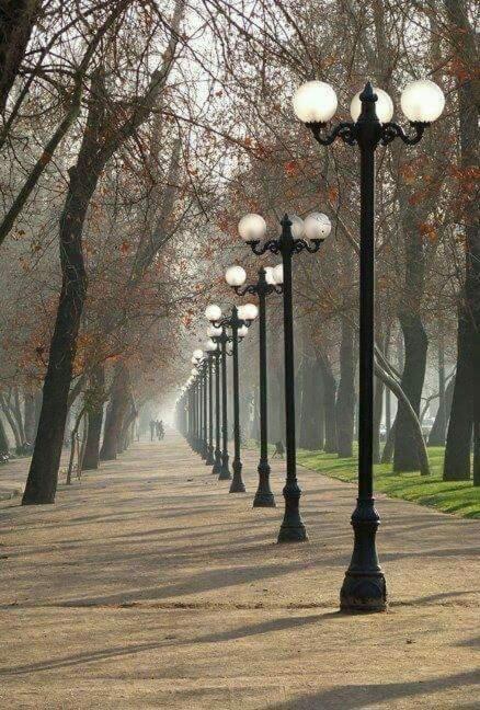 Vo Bellas Artes
