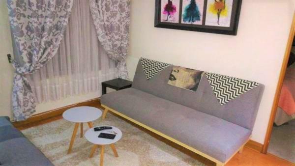 Departamento Privado En Bellavista * Santiago
