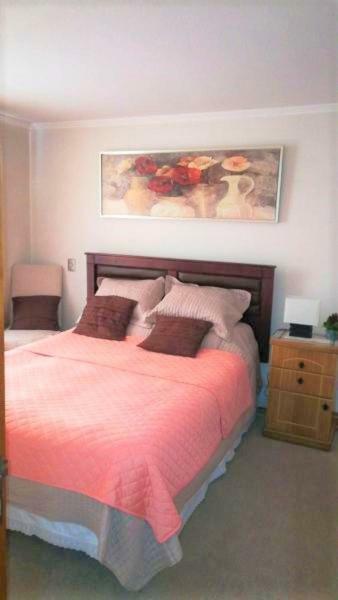 Departamento Privado En Bellavista Apartment *