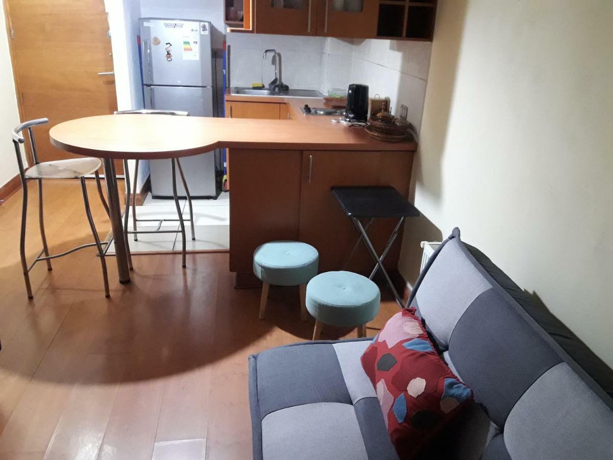 Departamento Privado En Bellavista * Santiago