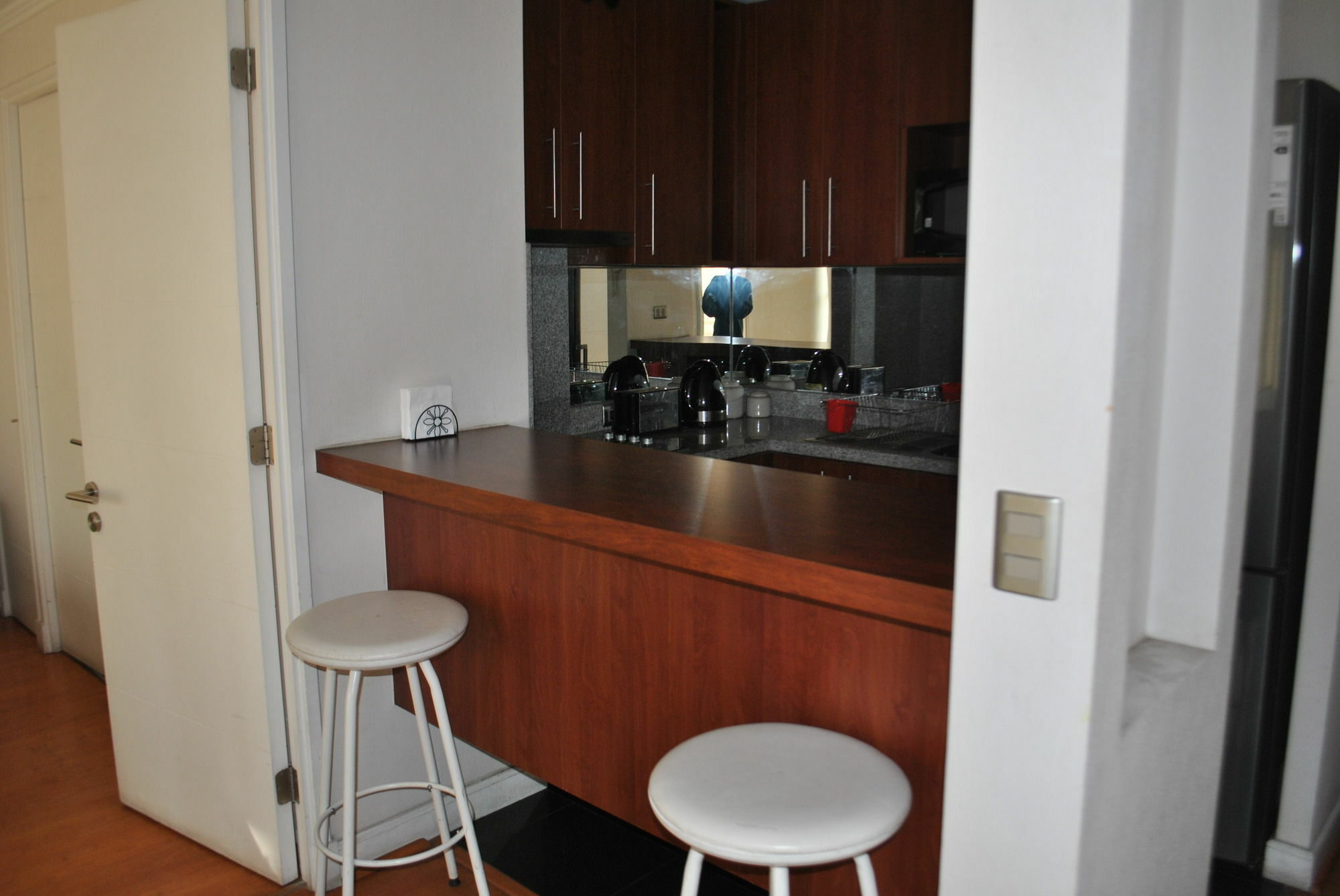 Apartment Roypace Nueva Providencia *