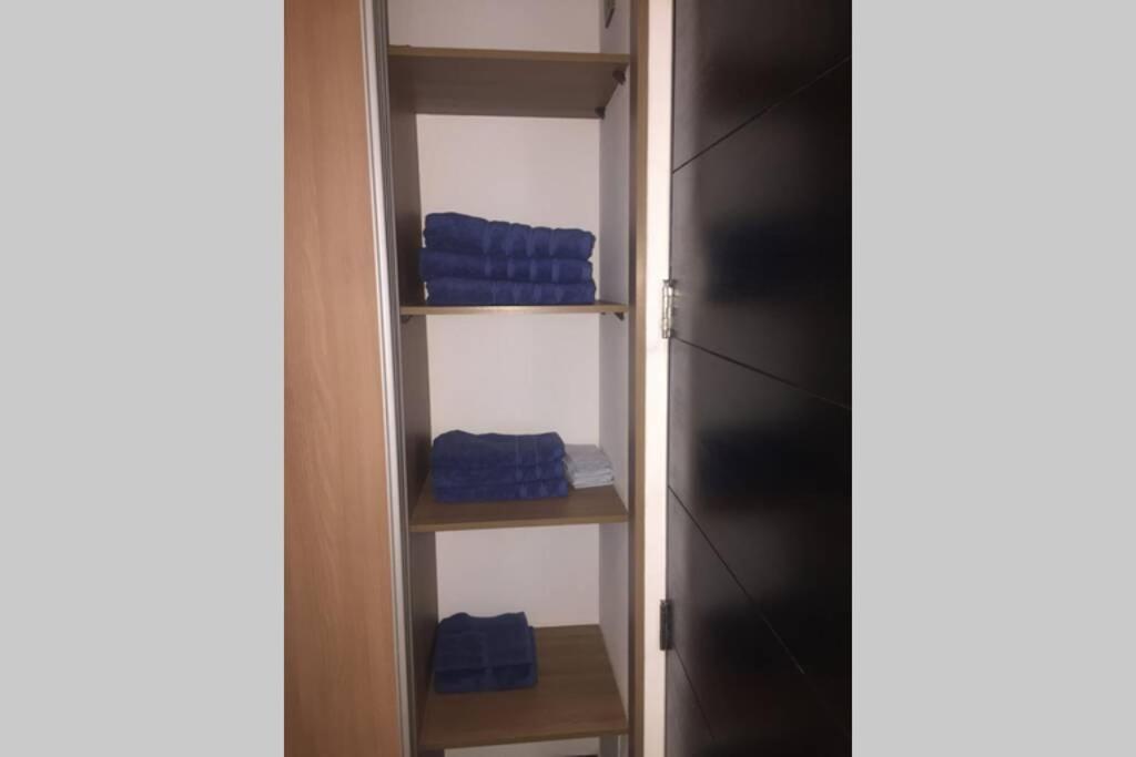 Departamento En Exclusivo Sector De Santiago