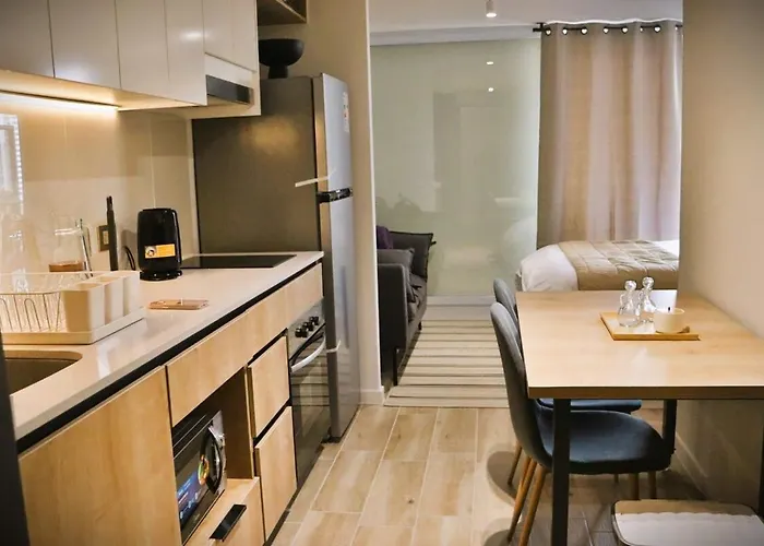 Hom I Acogedor Studio En Santiago Centro Curico