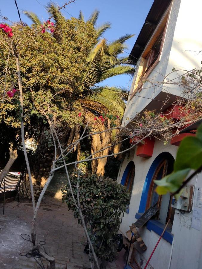 Guest house Mondrian