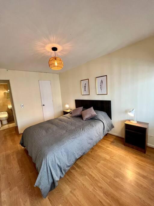 Apartment Y Comodo Depto En Providencia Santiago