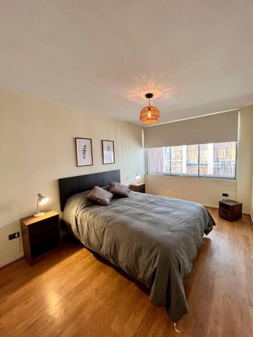 Y Comodo Depto En Providencia Apartment