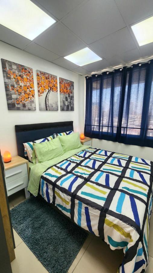 Centro Con Vista A La Cordillera Hasta 7pers Y Freeparking Santiago