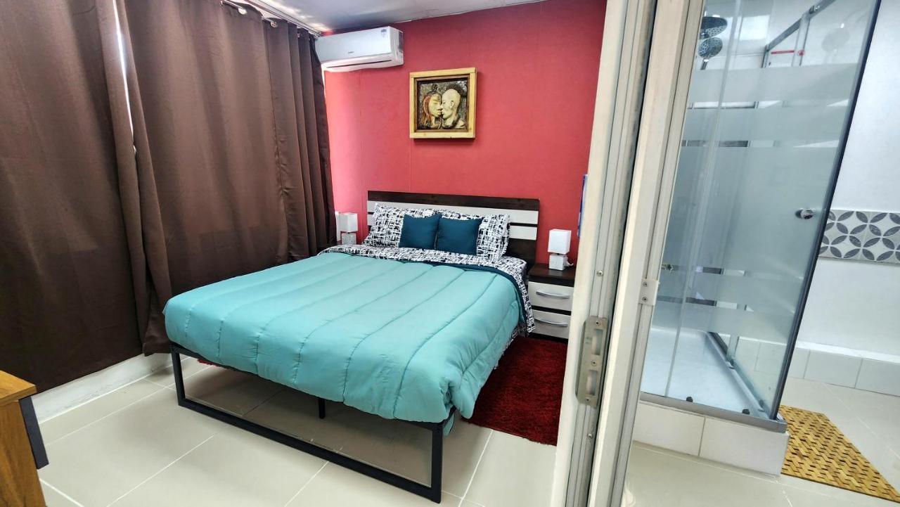 Centro Con Vista A La Cordillera Hasta 7pers Y Freeparking Apartment Santiago