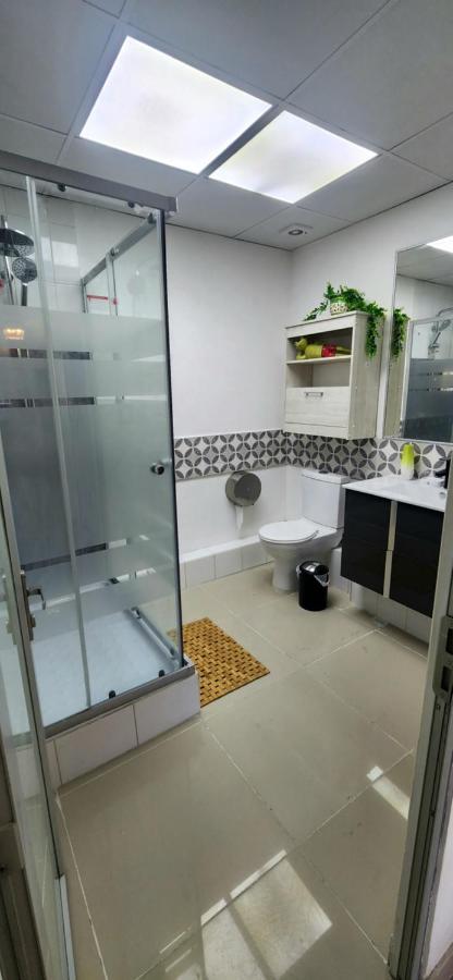 Apartment Centro Con Vista A La Cordillera Hasta 7pers Y Freeparking *