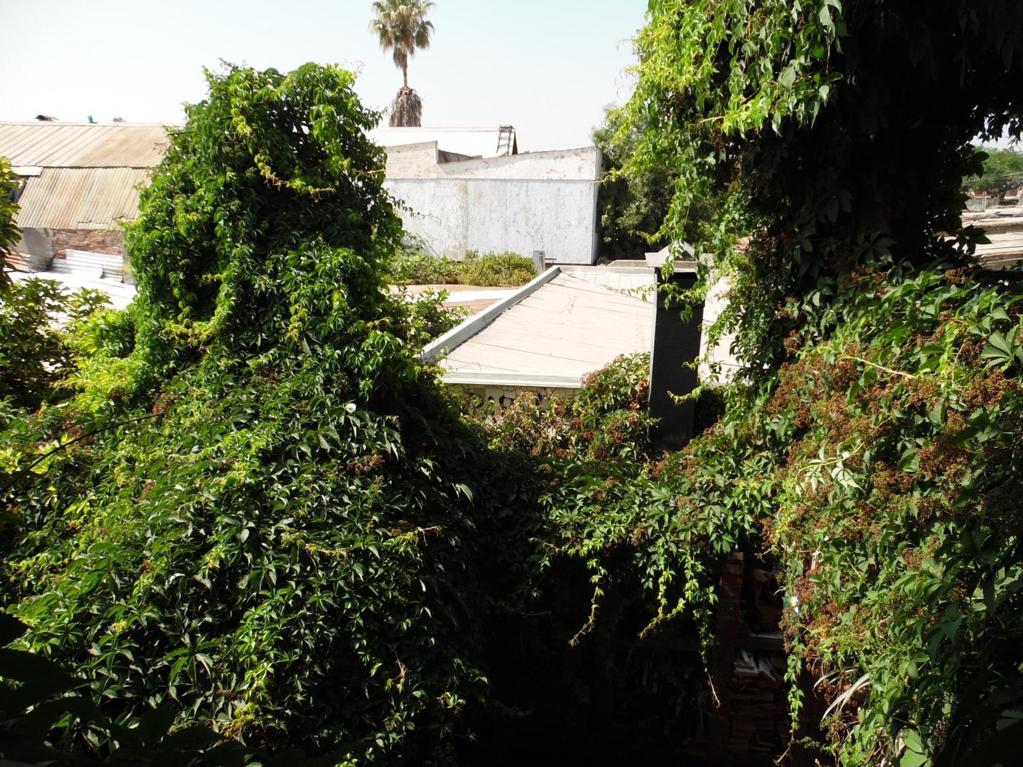 Casa Rosa Santiago
