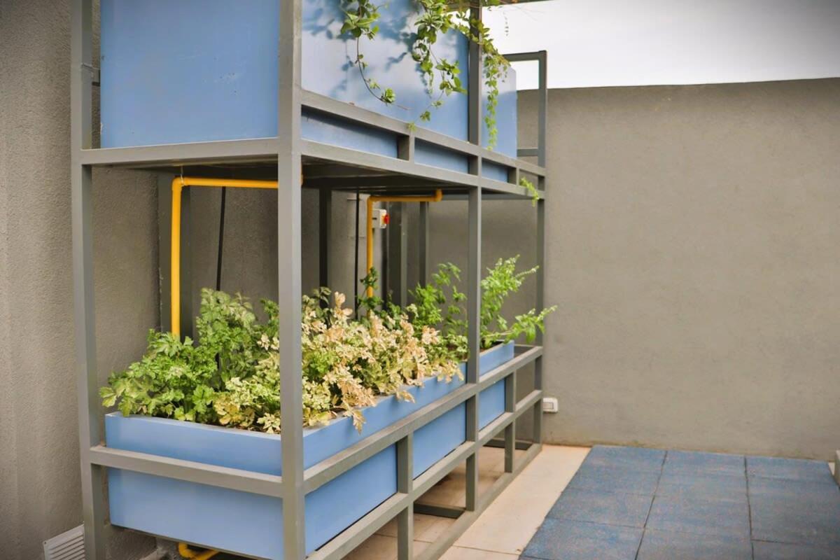 Apartment Hom I Acogedor En Centro Curico *