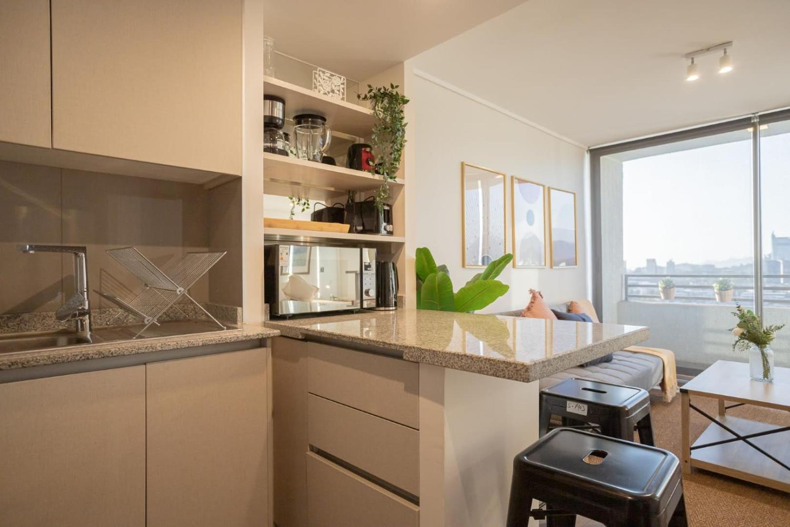 Explora El Encanto Unico De Barrio Italia Apartment Santiago