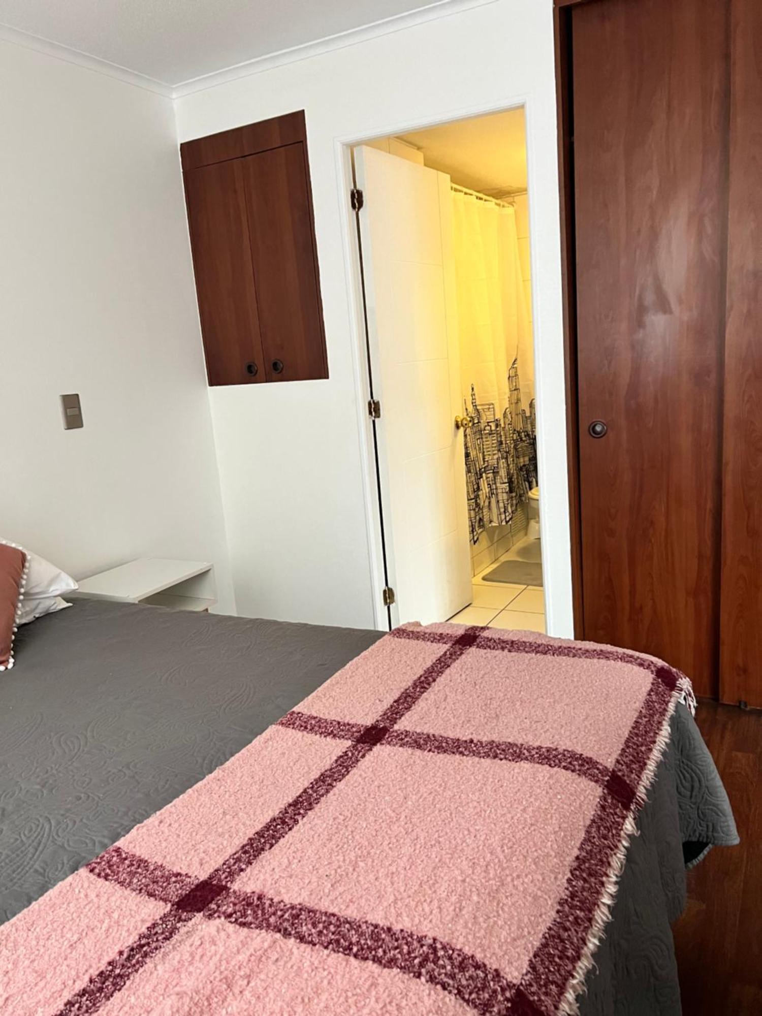 Apartamento Departamento Centrico 1 Ambiente