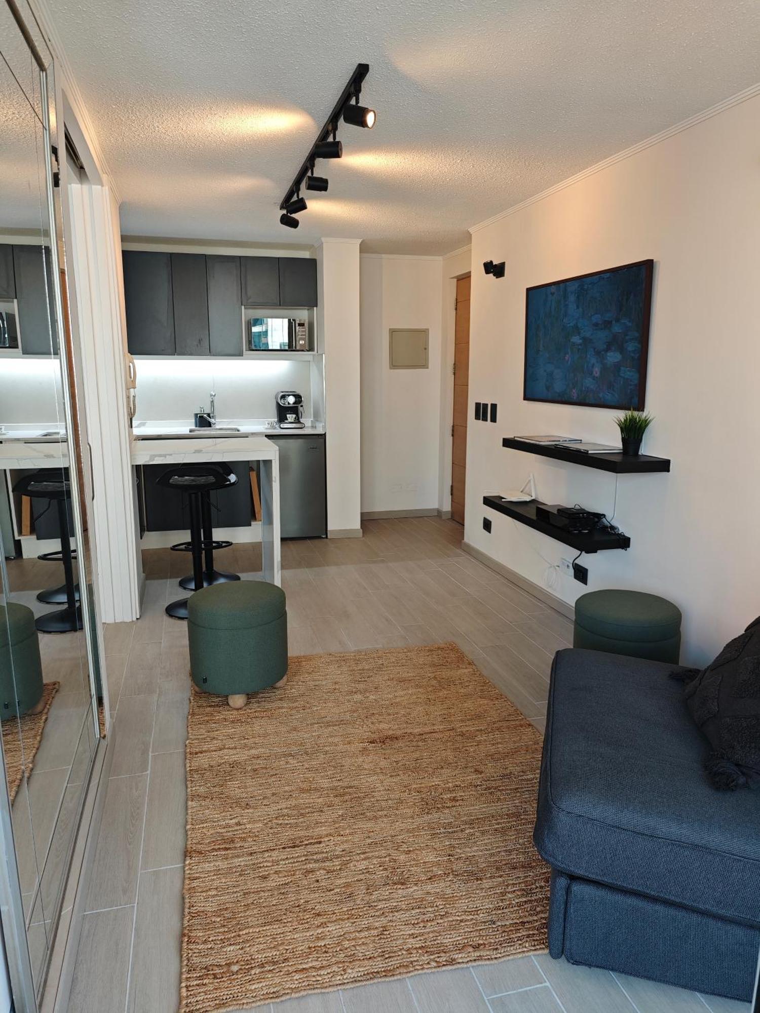 Departamento Tipo En Providencia Santiago