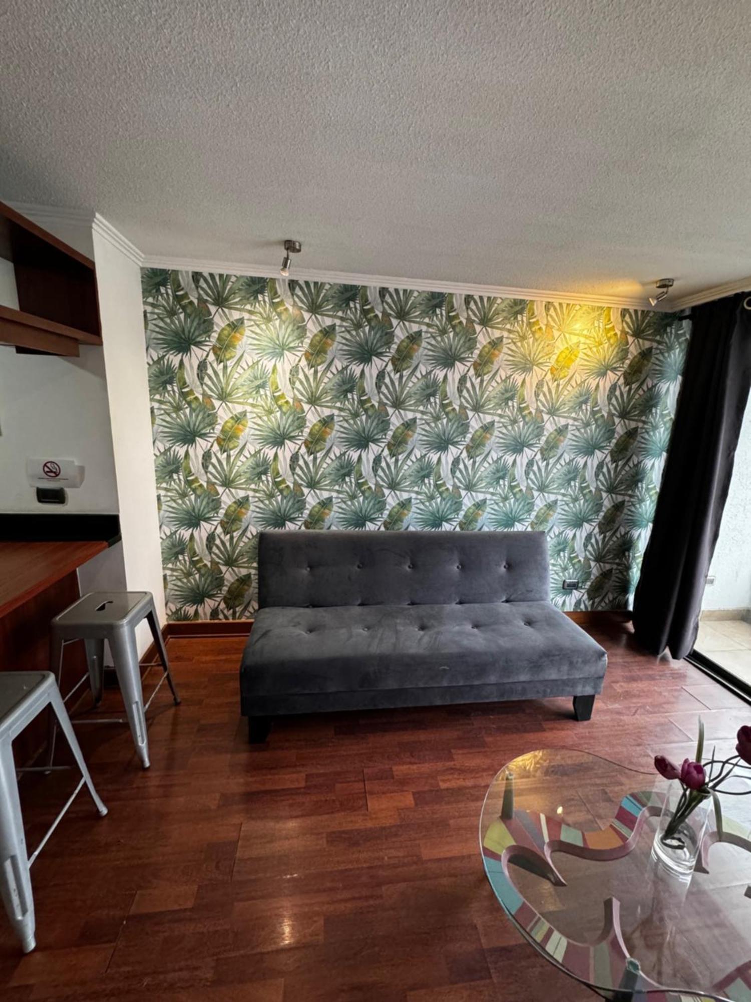 Andes Vista Providencia Apartment *