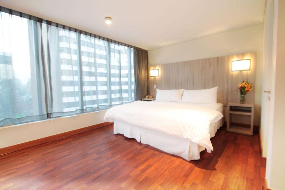 Hotel Torremayor Providencia Santiago