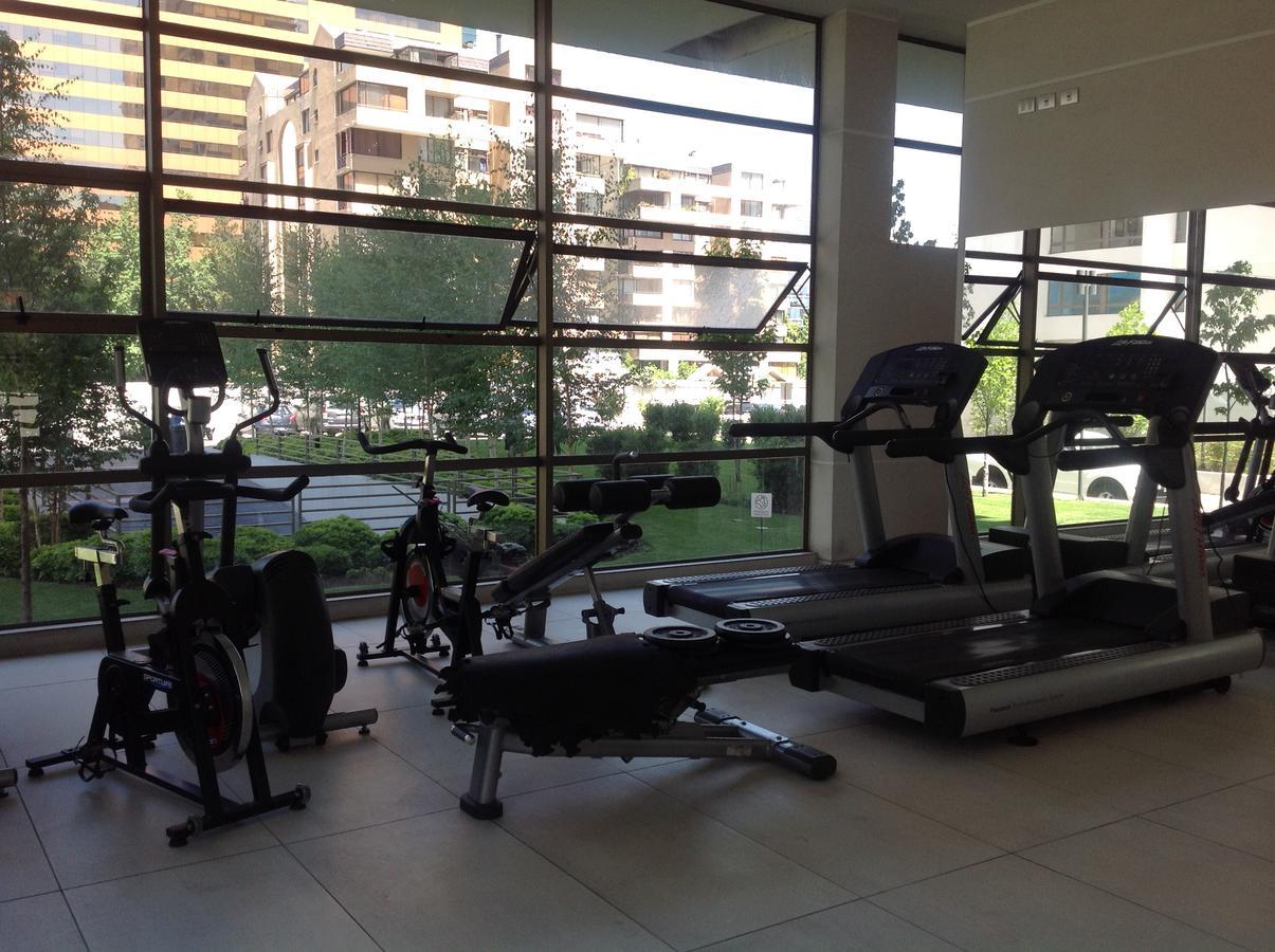 Loica Iii Santiago
